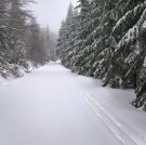 Další úprava ve čtvrtek ráno 1