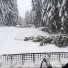 Ve středu ráno vyrážíme na úklid 1