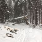 Pokračujeme s úklidem, nebezpečí ale stále hrozí  1