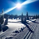 Foto Tereza Nádeníčková - děkujeme!