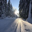Foto Jan Kazda - děkujeme!