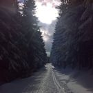 Vybrané trasy budou upraveny dnes v noci 1