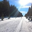 Foto Tomáš Janáček - děkujeme!